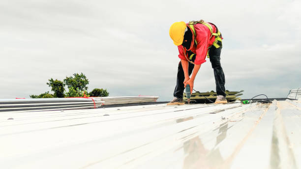 Steel Roofing in Dalton, PA