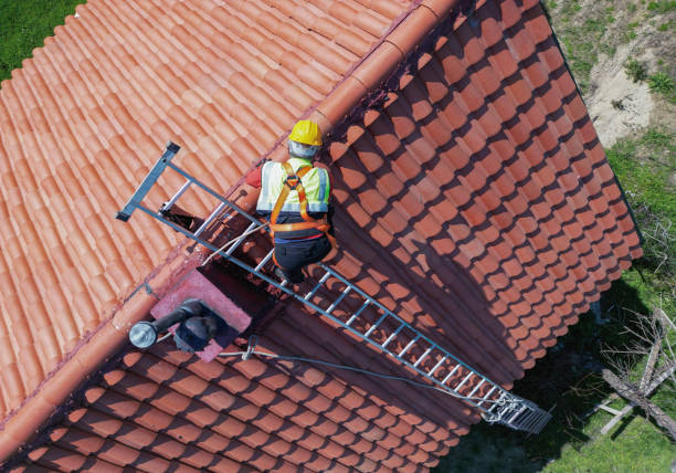 Best Storm Damage Roof Repair  in Dalton, PA